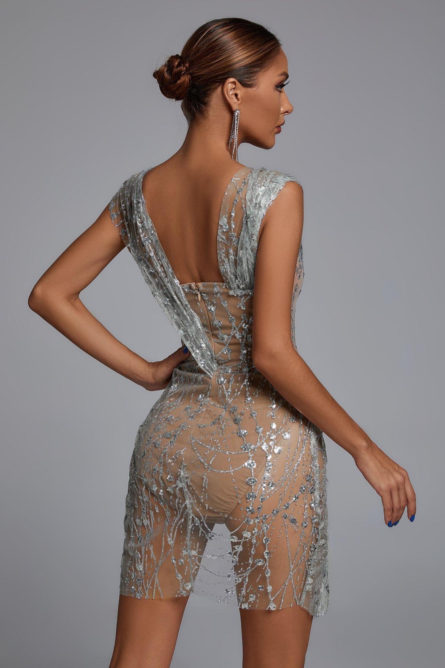 Sedaya Glitter Mesh Mini Dress   Silver